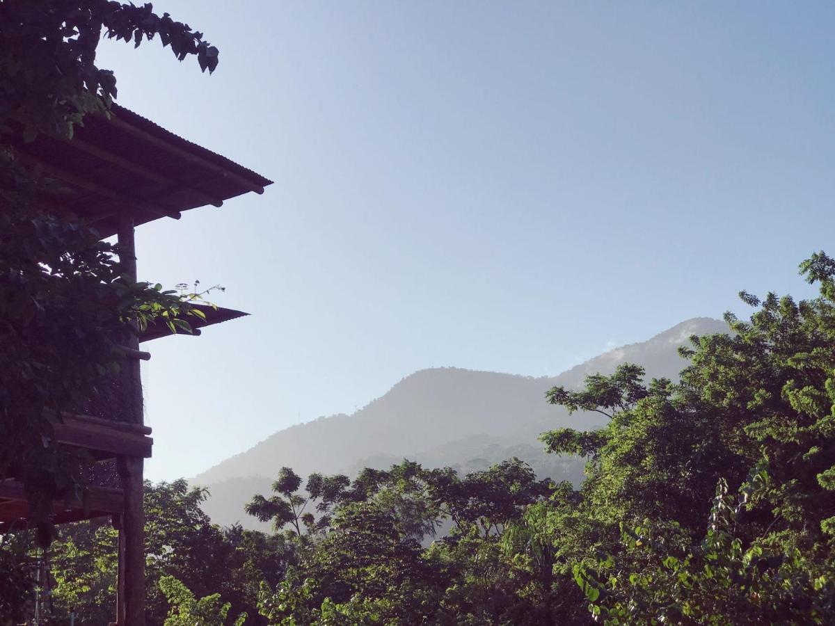 The Valley Tayrona Hostel- A Social Jungle Hostel El Zaino Exterior photo