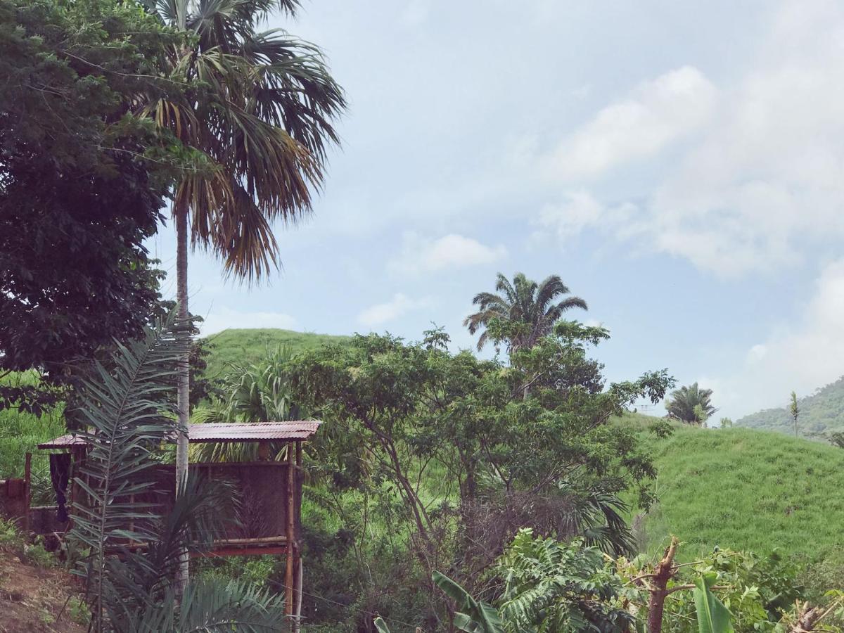 The Valley Tayrona Hostel- A Social Jungle Hostel El Zaino Exterior photo