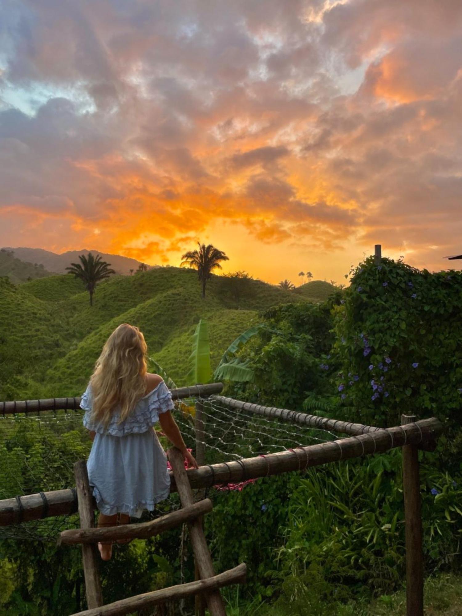The Valley Tayrona Hostel- A Social Jungle Hostel El Zaino Exterior photo