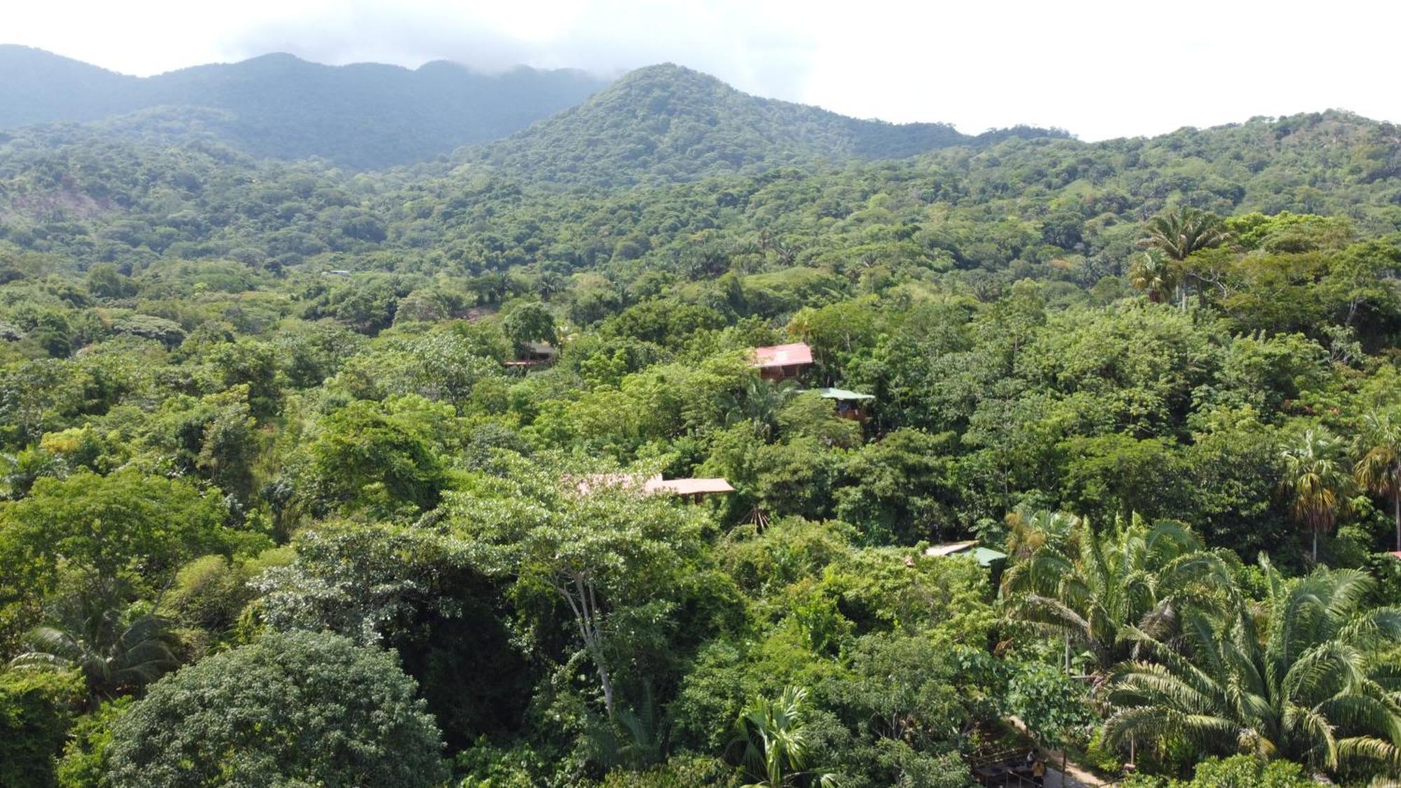 The Valley Tayrona Hostel- A Social Jungle Hostel El Zaino Exterior photo