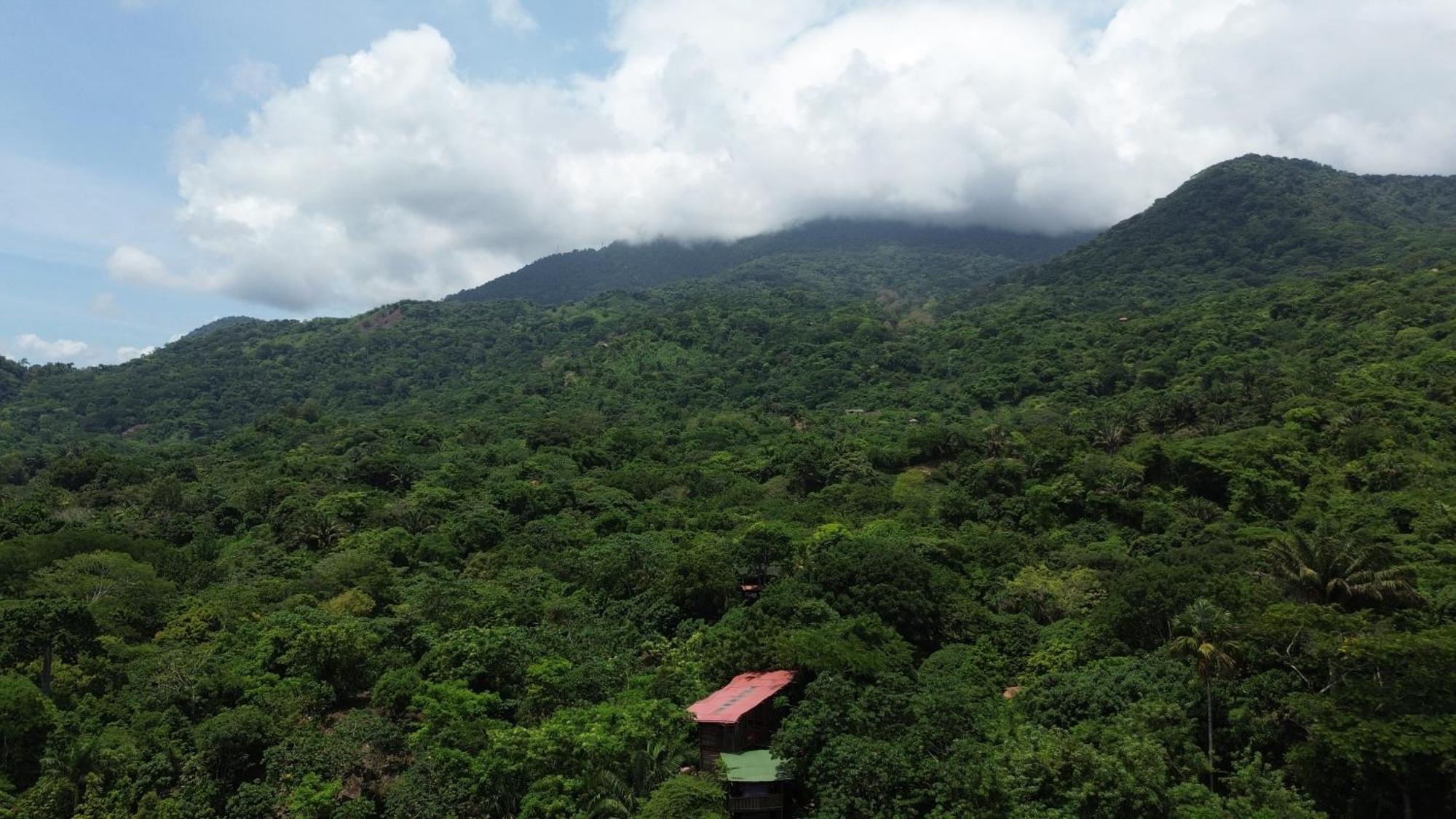 The Valley Tayrona Hostel- A Social Jungle Hostel El Zaino Exterior photo