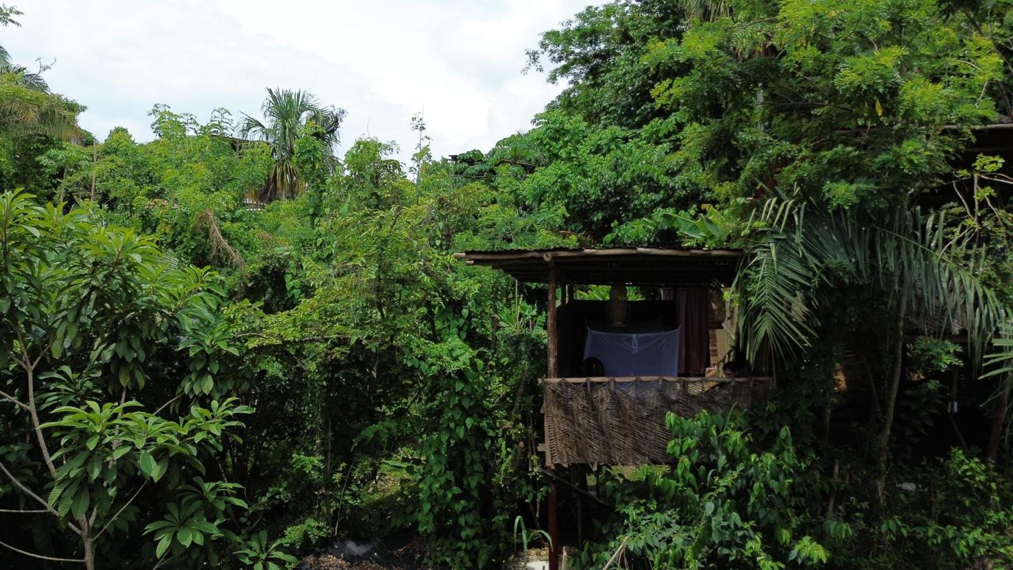 The Valley Tayrona Hostel- A Social Jungle Hostel El Zaino Exterior photo