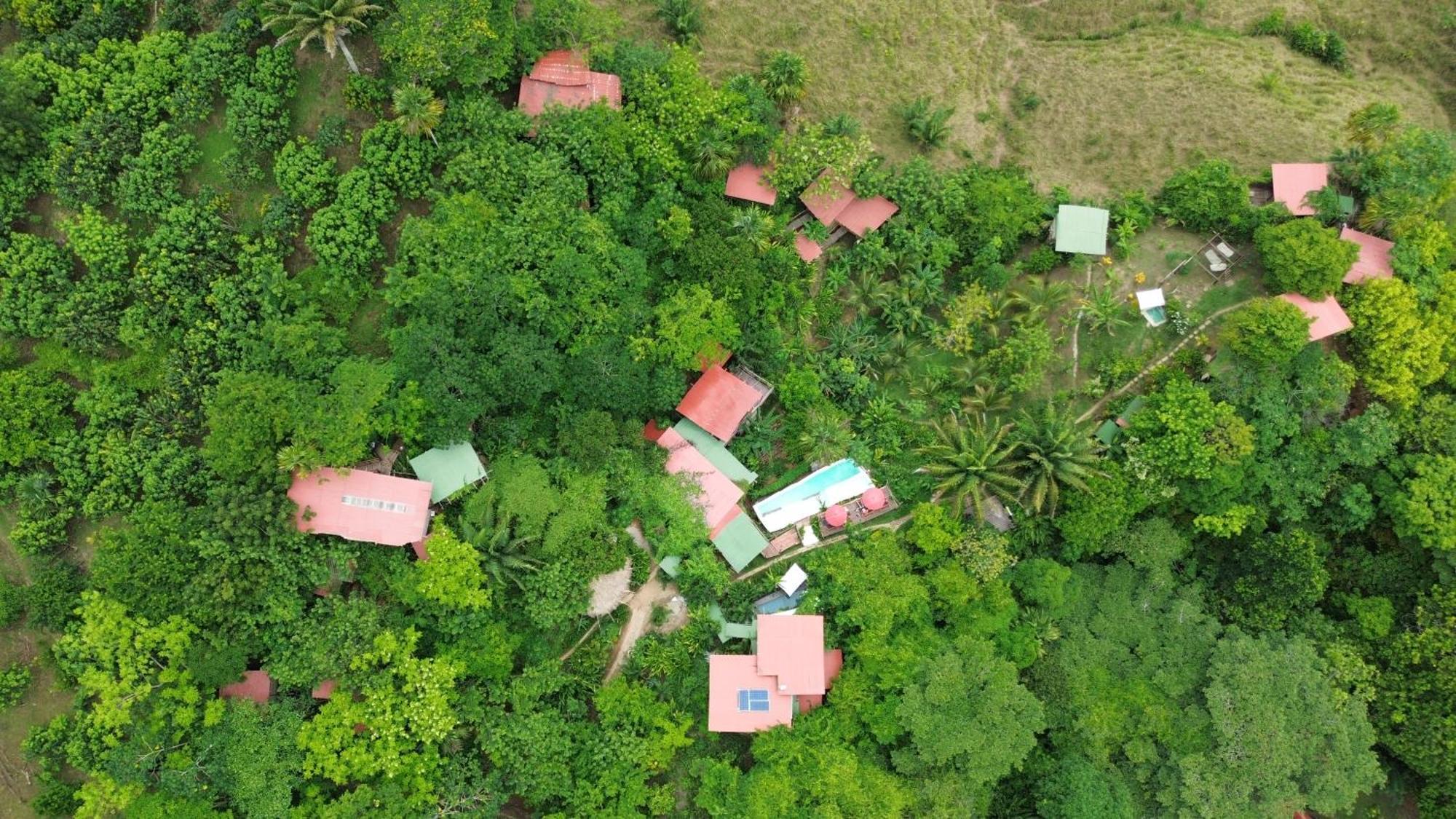 The Valley Tayrona Hostel- A Social Jungle Hostel El Zaino Exterior photo