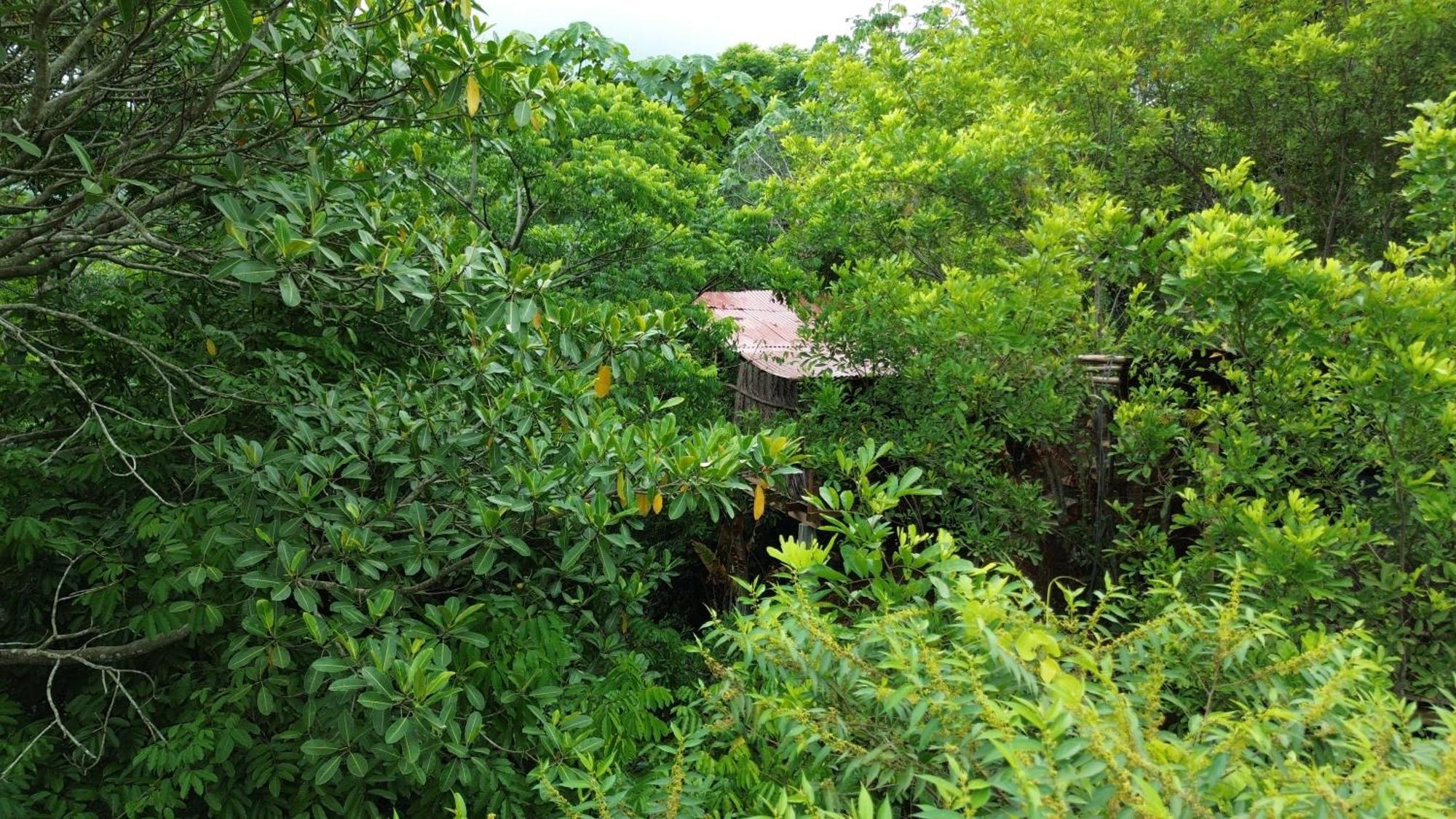 The Valley Tayrona Hostel- A Social Jungle Hostel El Zaino Exterior photo