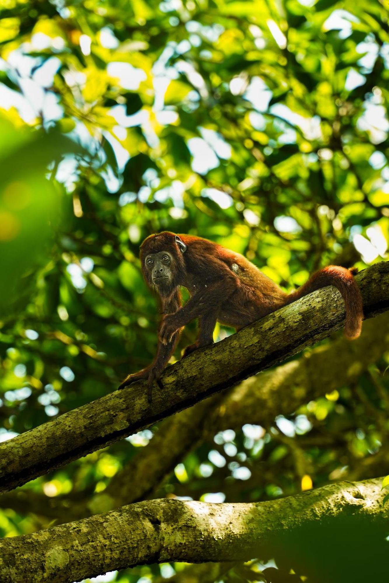 The Valley Tayrona Hostel- A Social Jungle Hostel El Zaino Exterior photo